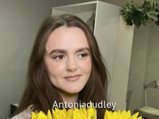 Antoniadudley
