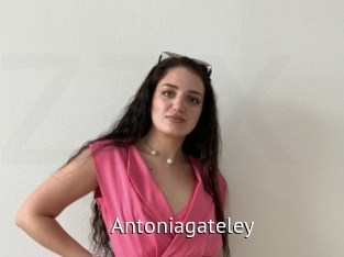 Antoniagateley