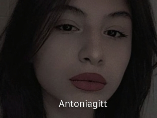 Antoniagitt