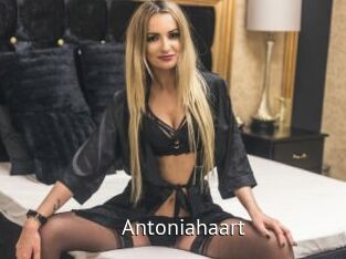 Antoniahaart