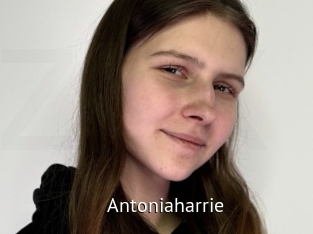 antoniaharrie Zizi X