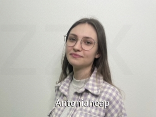 Antoniaheap
