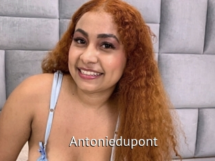 Antoniedupont