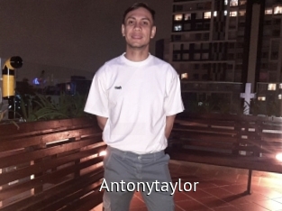antonytaylor Zizi X