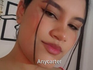 anycarter Zizi X
