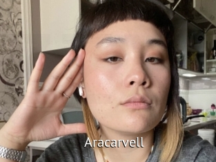 aracarvell Zizi X