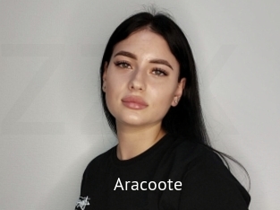 Aracoote