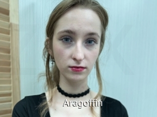 aragoffin Zizi X