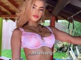 Ariawangs
