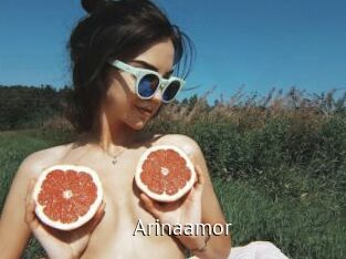 Arinaamor