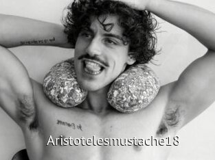 Aristotelesmustache18