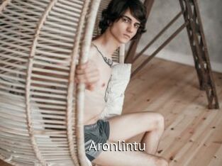 aronlintu Zizi X