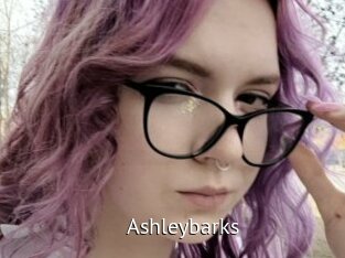 Ashleybarks