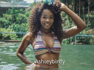 Ashleybirdy