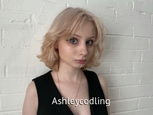 Ashleycodling
