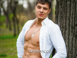 Ashtoncolt