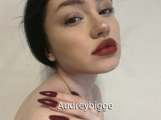 Audreybigge