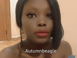 autumnbeagle Zizi X