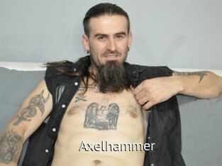 axelhammer Zizi X