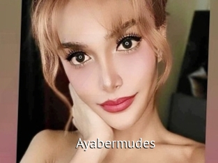 Ayabermudes