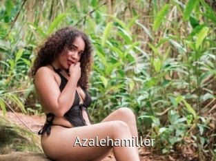 Azalehamiller