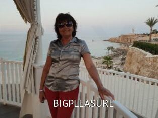 BIGPLEASURE
