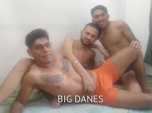 BIG_DANES