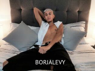 BORJALEVY