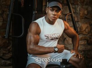 BacoSousa Zizi X