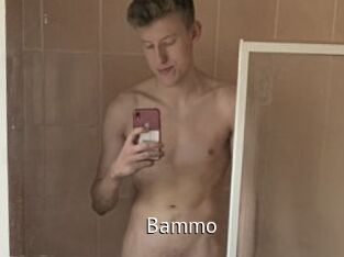 Bammo
