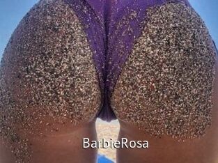 BarbieRosa