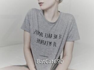 BatCat690