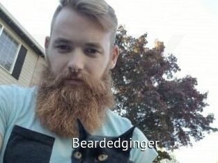 Beardedginger