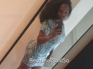 BecauseISaidSo
