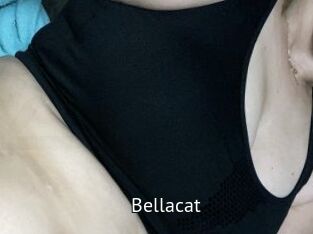 Bella_cat