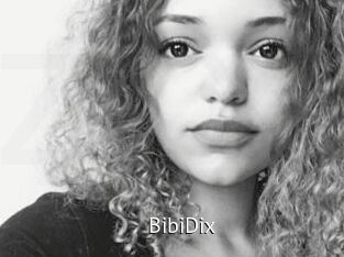 BibiDix