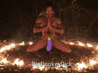 BigDonkeyDick Zizi X