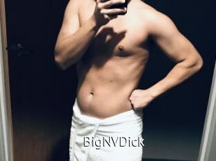 BigNVDick Zizi X