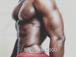 BigSnack42300