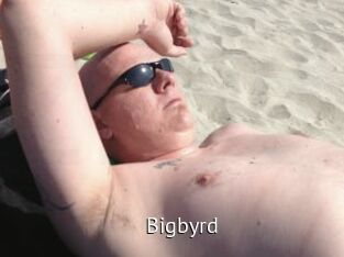 Bigbyrd