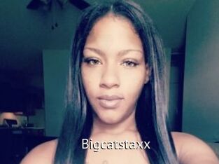 Bigcatstaxx