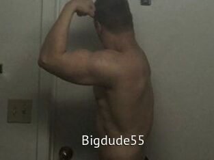 Bigdude55