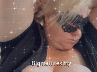 Bigmaturekitty