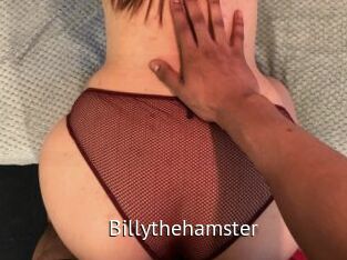 Billythehamster