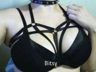 Bitsy_