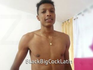 BlackBigCockLatin