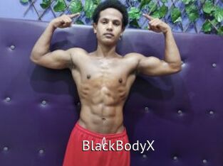 BlackBodyX