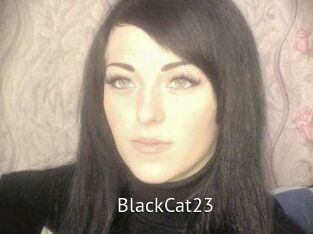 BlackCat23
