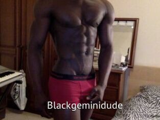 Blackgeminidude