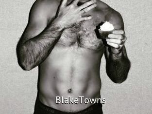 BlakeTowns